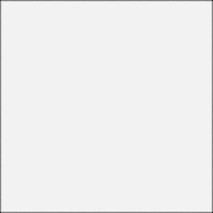 Rosco E-Colour #250 1/2 White Diffusion (21 x 24" Sheet)