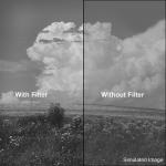 Tiffen #11 Green (1) Filter (62mm)