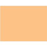 Rosco Cinegel Filter #3408 RoscoSun 1/2 CTO (20 x 24" Sheet)