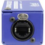 Radial Engineering Catapult Mini RX 4-Channel Cat 5 Audio Snake