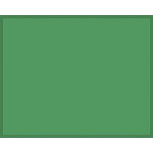 Rosco ChromaDrop Screen (Green, 10 x 8')