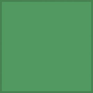 Rosco ChromaDrop Screen (Green, 10 x 10')