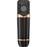 Icon Pro Audio Space 67 Multi-Pattern Tube Condenser Microphone