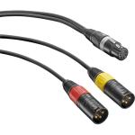 Neumann AC-20 5-Pin XLR Female to 2 3-Pin XLR Male Adapter Y-Cable - 3.3'