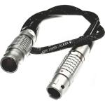 Steadicam 24V Straight 2b LEMO to Straight 4-Pin XLR Power Cable (22")