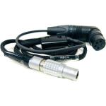 Steadicam 12V 5-Pin LEMO to 4-Pin XLR Monitor Cable for M-Series Stabilizers (32")