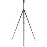 Benro BlackBird Carbon Fiber Tripod with N00P Ball Head