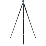 Benro CyanBird 2 Aluminum Tripod with G36PT Inverted Ball Head