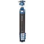 Benro CyanBird 2 Carbon Fiber Tripod with G36PT Inverted Ball Head