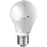 Astera LunaShade with Diffuser for LunaBulb