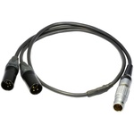 ARRI SRH-3 High Capacity Battery Power Cable Set, 12V/24V (66)'