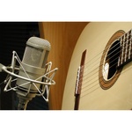 Neumann M147 Tube Microphone