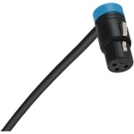 Cable Techniques Low-Profile Right-Angle XLR 3-Pin Female Connector (Large Outlet, B-Shell, Blue Cap)