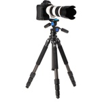 Benro CLT204 2-Series Induro Classic Carbon Fiber Tripod