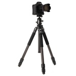 Benro CLT303 3-Series Induro Classic Carbon Fiber Tripod