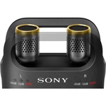 Sony PCM-D10 Portable High-Resolution Linear PCM Audio Recorder