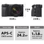 Sony a6600 Mirrorless Camera