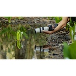 Sony FE 70-200mm f/4 Macro G OSS II Lens (Sony E)