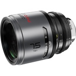DZOFilm PAVO T2.1 2x Anamorphic 28/40/75mm 3-Lens Set (Neutral Coating, PL/EF Mount, Feet)