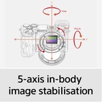 Sony a6600 Mirrorless Camera