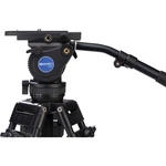 Benro BV8 Twin-Leg Aluminum Tripod Kit