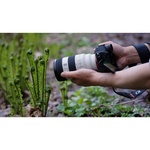 Sony FE 70-200mm f/4 Macro G OSS II Lens (Sony E)