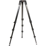 Manfrotto 612 Nitrotech Fluid Video Head and 536 Carbon Fiber Single Leg Tripod