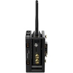 Wooden Camera Dual Battery Plate Cradle for Teradek Bolt LT Transmitter (Gold Mount)