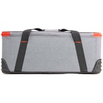 Aputure LS C300d II Daylight LED Monolight (Gold Mount)