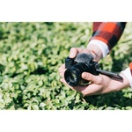 Sony ZV-E10 Mirrorless Camera (Black)
