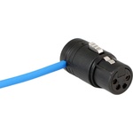 Cable Techniques Hirose 4-Pin to Low-Profile XLR-4F DC Power Cable (8")