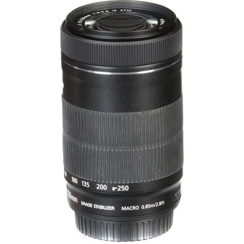 Canon EF-S 55-250mm f/4-5.6 IS STM Lens