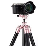 Fotopro FY-820 Free-1 Compact Aluminum Travel Tripod (Rose Gold)