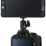 KUPO Ball Head W/ Hot Shoe Mount