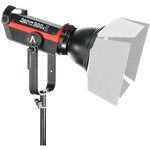 Aputure LS C300d II Daylight LED Monolight (Gold Mount)