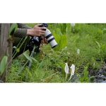 Sony FE 70-200mm f/4 Macro G OSS II Lens (Sony E)
