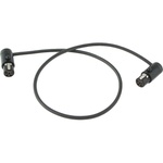 Cable Techniques Low-Profile LPS TA5F to TA5F Two Channel Cable (Black, 12")