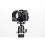 Benro Rhino Carbon Fiber Three Series Travel Tripod with VX30 Head