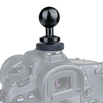 KUPO Dia. 26mm Ball W/ Cold Shoe Adapter