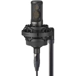 Sony C-100 High-Resolution 2-Way Condenser Microphone