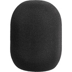 Neumann TLM 67 Set Z Large-Diaphragm Multipattern Condenser Microphone with Accessories