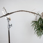 KUPO KCP-117 / 4" C-CLAMP WITH TREE BRANCH HOLDER