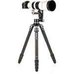 Benro Mammoth Carbon Fiber Tripod