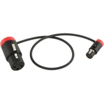 Cable Techniques CT-LPS-FX3T-12R Low-Profile LPXLR-3F to TA3F Cable (12", Red)