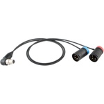 Cable Techniques CT-LP-SR5P-RR-15 Low-Profile Y-Cable for Lectrosonics SRc5P/SRb5P Receivers (15")