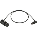 Cable Techniques CT-LPS-FX3T-24K Low-Profile LPXLR-3F to TA3F Cable (24", Black)