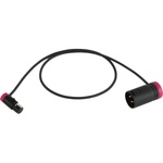 Cable Techniques 24" Low-Profile LPS TA3F To LPXLR-3M Cable (Purple)
