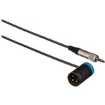 Cable Techniques 3.5mm TRS to Low-Profile XLRM Cable (Unbalanced, 24", Blue Cap)