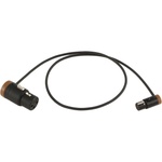 Cable Techniques CT-LPS-FX3T-24S Low-Profile LPXLR-3F to TA3F Cable (24", Brown)