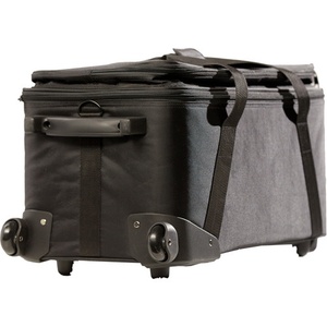 DMG Lumiere MINI Rigid Bag with Wheels for MINI Switch Kit (Black)